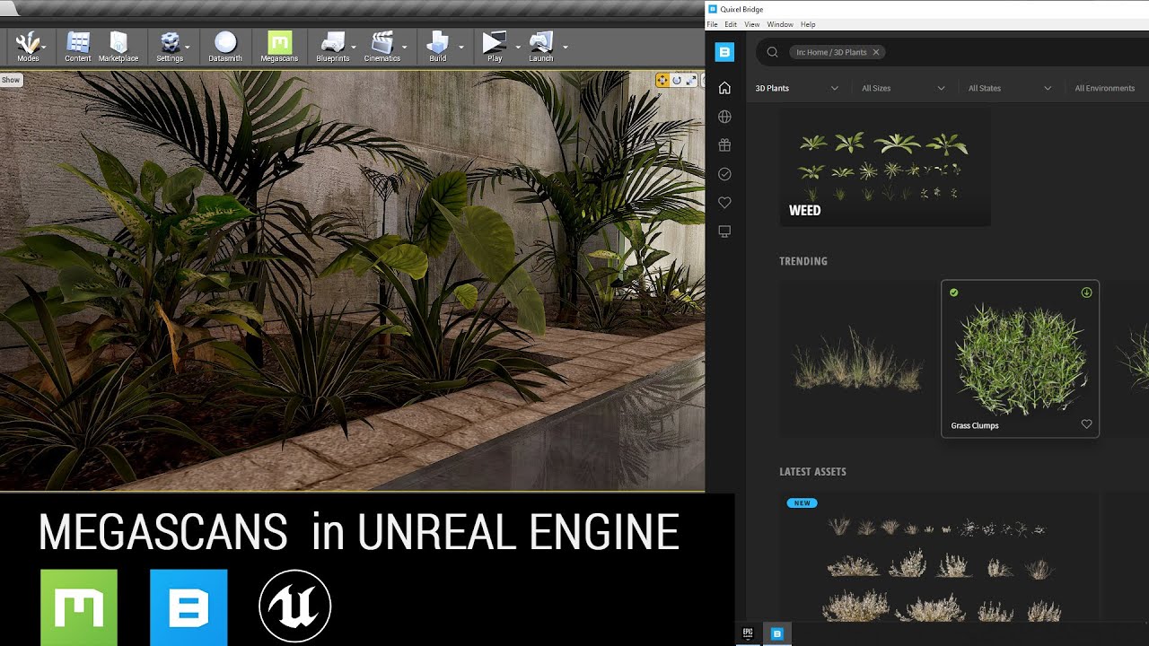 MEGASCANS IN UE4 | BRIDGE WORKFLOW - YouTube