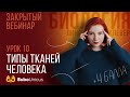 Типы тканей человека | БИОЛОГИЯ ЕГЭ | Лина Клевер