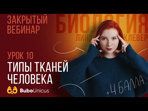 Типы тканей человека | БИОЛОГИЯ ЕГЭ | Лина Клевер