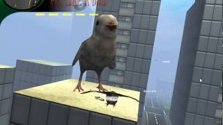 fly like a bird 3 fast video super chick screenshot 4