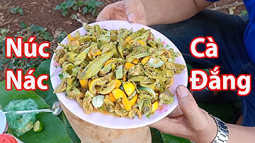 Cà Đắng Giã Với Quả Núc Nác (Gỏi Núc Nác Trộn Cà Đắng) | BL Tây Nguyên