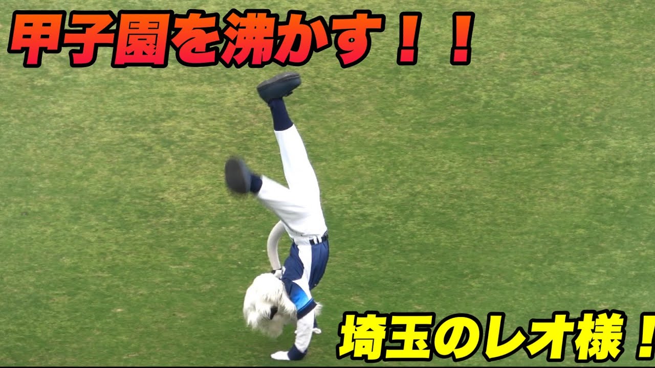 驚愕！洗濯機並みに回りまくる埼玉のデカプリオことレオ様がかっこよ 