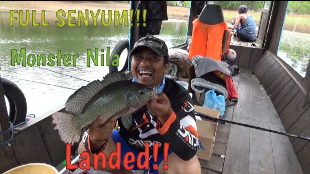 FULL SENYUM BOSKU!! Ikan Nila monster Riam Kanan Landed, Joran Hampir Patah Dibuatnya