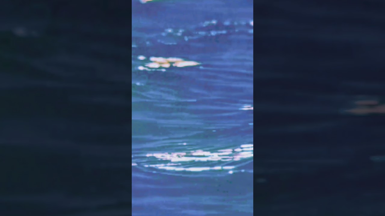 Shiny Water Psychedelic Background Vibes Experimental Art Short Video Music Psychotic Toilets 