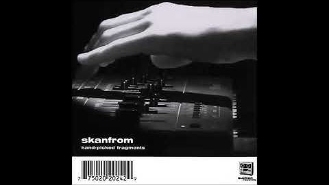 Skanfrom - Fragment 2