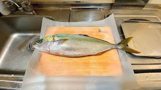 Cutting Japanese fish - Cutting and cooking yellowtail fish 
