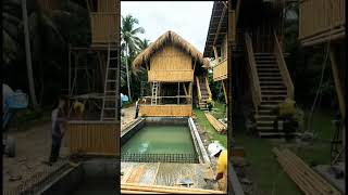 jungle mein house 😱