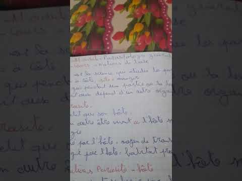 notions de base