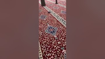 فديو ادهش الجميع القارئ -الشبل علي عبد السلام