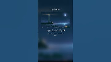 (قال ربي إني دعوت قومي ليلًا ونهارًا) القارئ/ شريف مصطفى