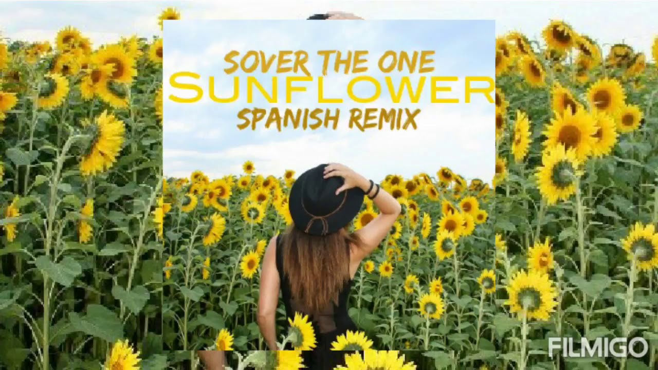 Sunflower (Spanish Remix) Sover The One YouTube