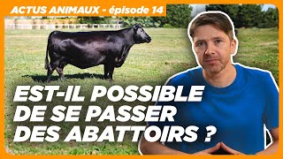 Actus animaux : De la viande sans abattoir | Le navire de l’Enfer | Lourd bilan de la SPA