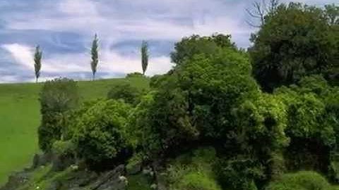 قراءة مباركة من سورة يوسف