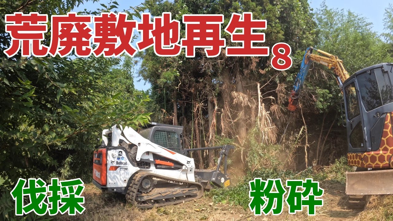 【荒廃敷地再生8】Bobcatとユンボで伐採、粉砕してきました！