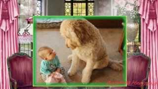 Счастливые моменты.Животные и дети. Pets and children Счастливые моменты.Животные и дети. Pets and children