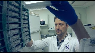 Marc Mendillo’s Lab: Studying Stress Response Networks