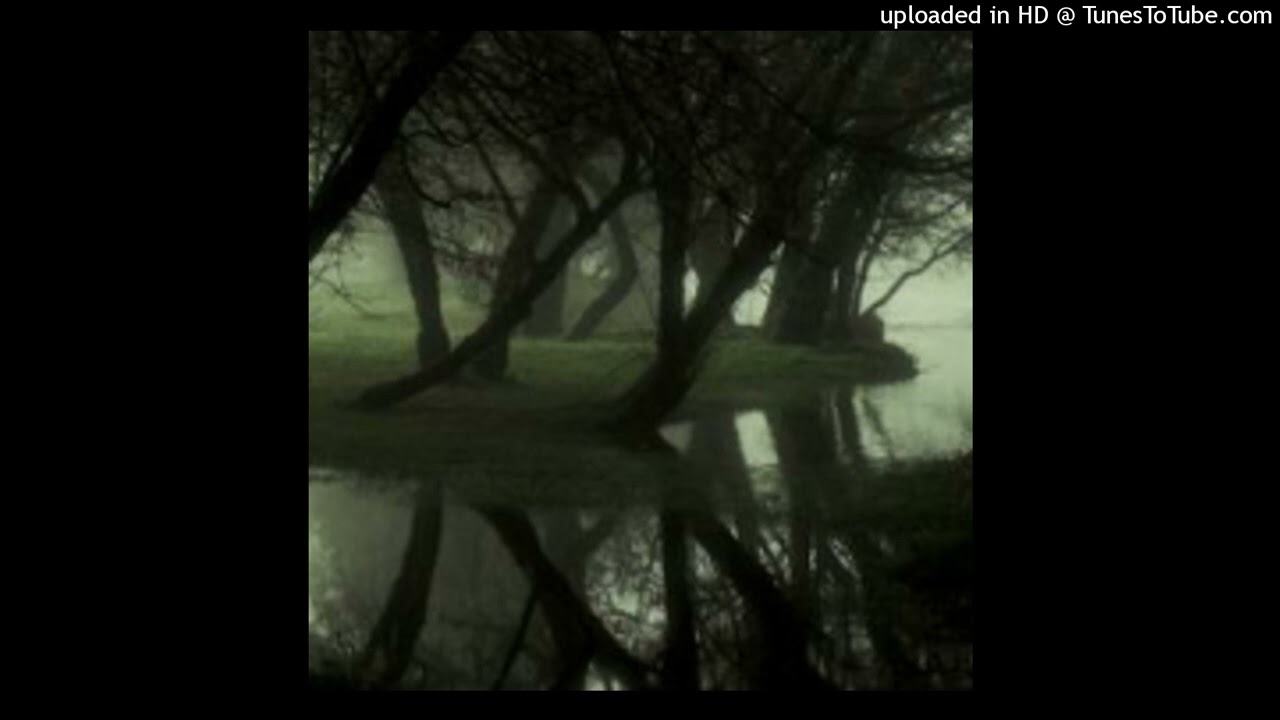 tdf x perc40 x lil tony x 2sdxrt3all x hariroc x whyceg x rx yp nature type beat