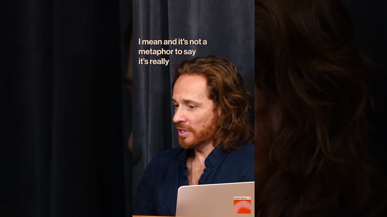 ‪@christineandthequeens‬