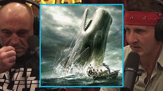JRE: "THIS IS HORRIFIC" Reacting to Whaling in the Faroe Islands