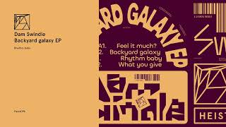Dam Swindle - Rhythm baby