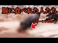 【閲覧注意】人間がブタ襲われた出来事3選【実話】