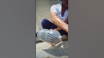 Cách Cắt Tiết Gà - Cắt Tiết Vịt Cực Chất Mà Không Ai Nghĩ Ra/ Mẹo Làm Thịt Gà Vịt Nhanh cook chicken