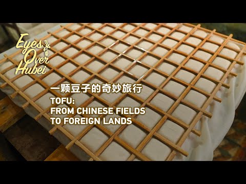 Eyes over hubei: tofu: from chinese fields to foreign lands