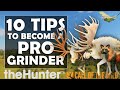 10 Tips to Become a Pro Grinder in Call of the Wild 🎯