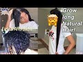 DIY Deep Conditioner|EXTREME hair Growth|Natural hair