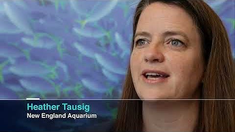 Oceans at the Tipping Point: Ocean Health Index