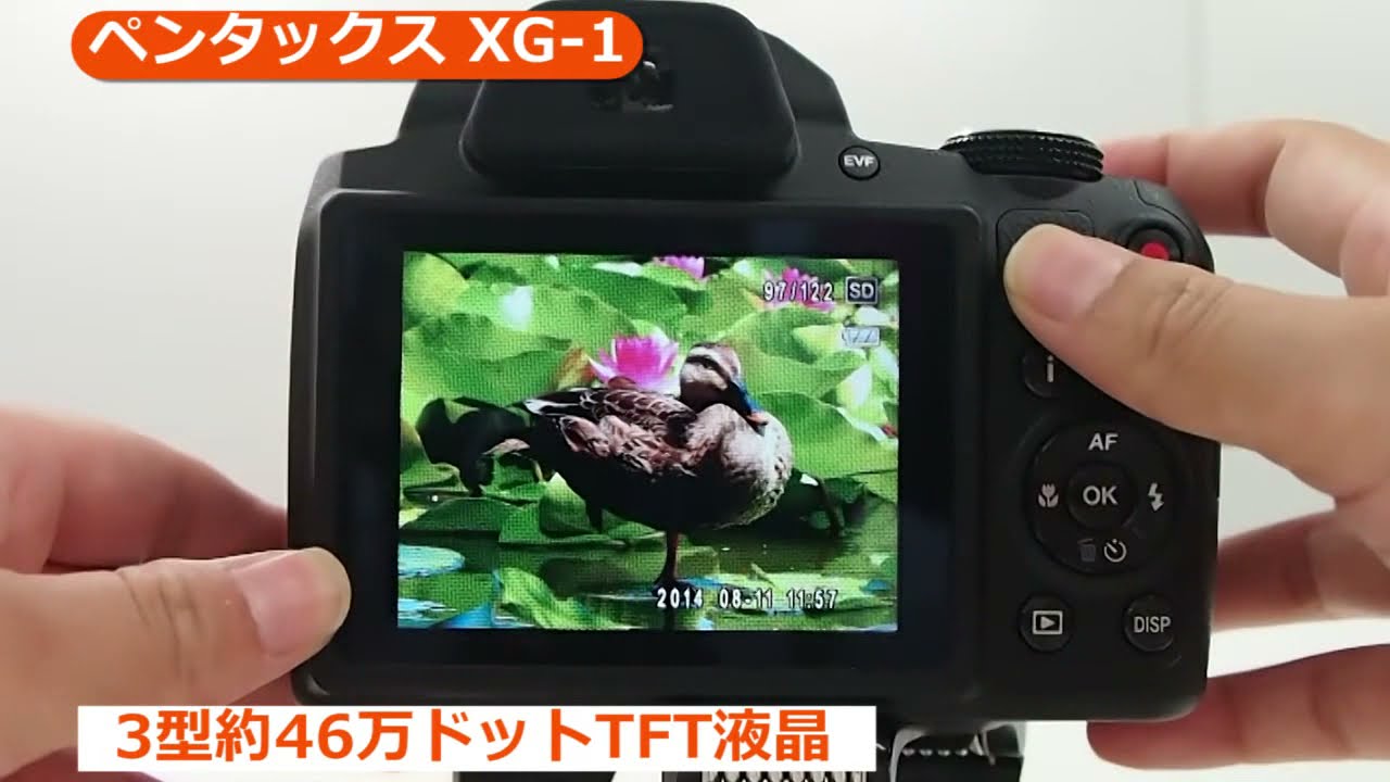 ペンタックス XG-1 (カメラのキタムラ動画_PENTAX)