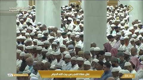 تلاوة لـ فواتح سورة القصص 1-19 للشيخ أ.د. #عبدالله_الجهني فجر الأثنين 14 ذو القعدة 1446هـ