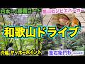 春の和歌山県日高川町を巡る！まだ知らない穴場をたくさん紹介♪