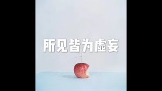 201501 所见皆为虚妄21334
