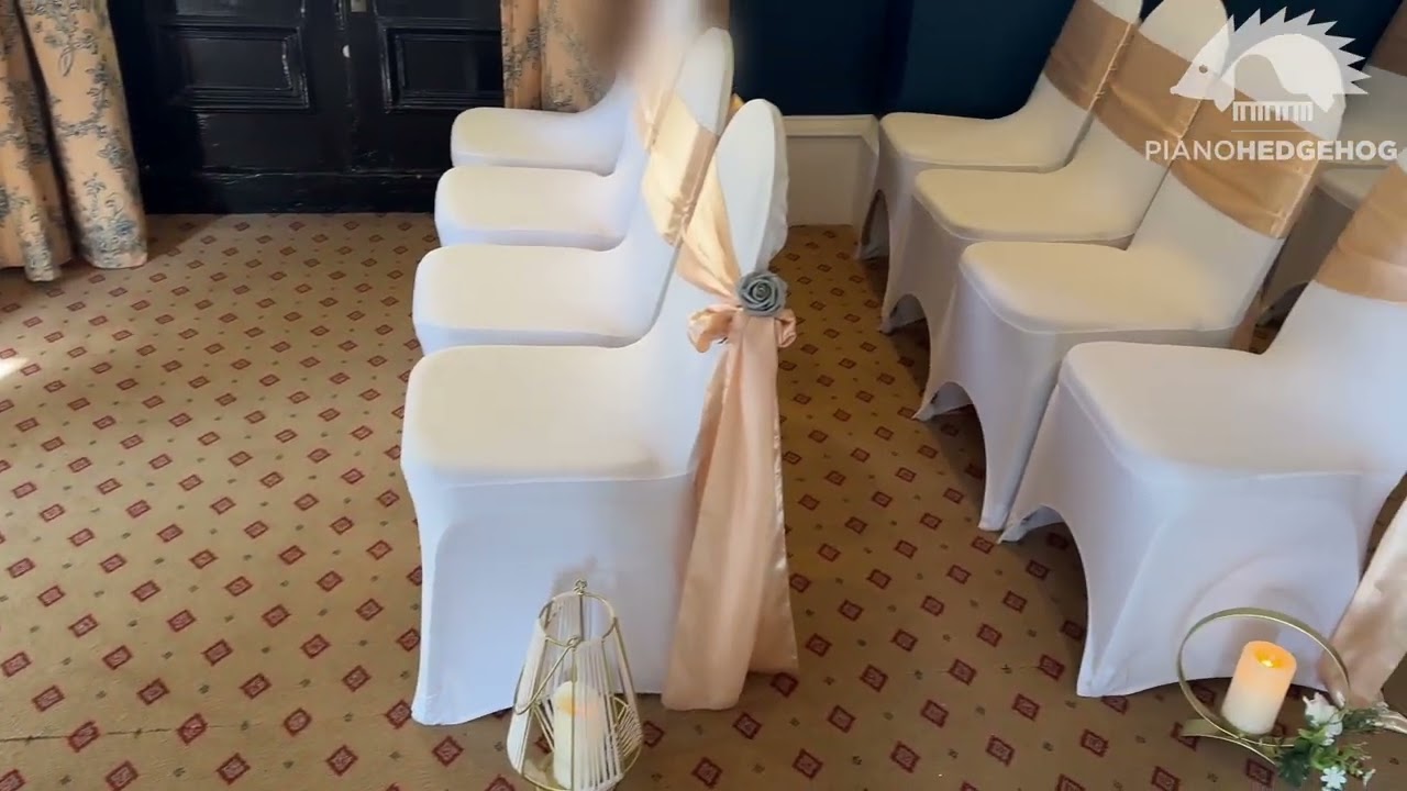 Requested Wedding Songs - Piano Hedgehog Demonstration