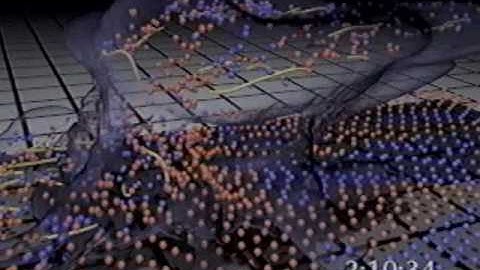 Larry Smarr - Scientific Visualization From the Atom to the Universe