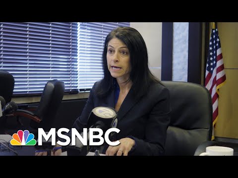 MI AG Drops The Hammer On Conservative Activists Over Election Robocalls | Rachel Maddow | MSNBC