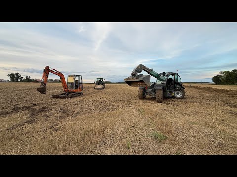 Drainage work again, was supposed to take a few hours, took a few days. Corn like a forest!!