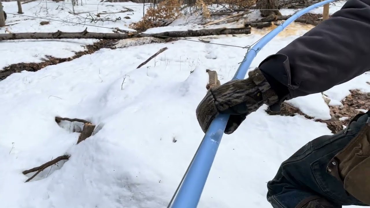 CDL Spin Seal in action