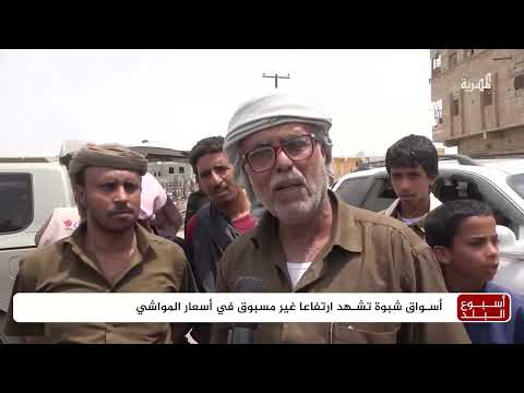سعرها يتجاوز نصف مليون... هل يستطيع اليمني شراء أضحية العيد؟