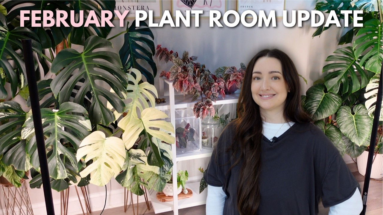 Recent Changes In My Plant Room 🌿 Some Chops & Rearranging