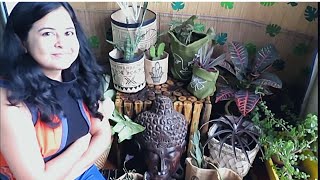 Diy Plant Pot Covers