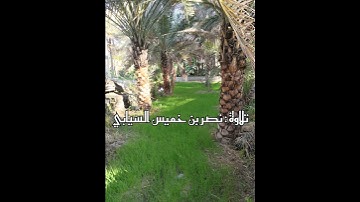 تلاوة رائعة سورة الفاتحة نصر بن خميس السيابي
