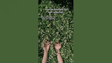 Journal Prompts for self reflection ✨🦋🙌