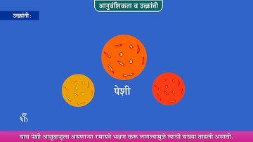 10th Science 2 | Chapter#01 | Topic#05 | उत्क्रांती | Marathi Medium