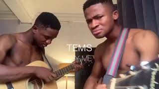 Try me Tems (guitar cover)