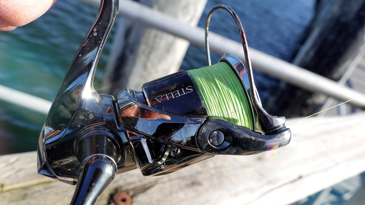 shimano stella 1000 fd test STLC5000XGFK FK Spinning Reel durability and hooking power Is it worth it? $1000