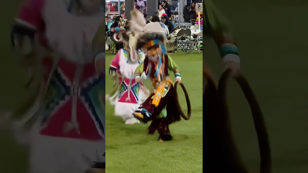 2026 Director Runs Above Foolish Bear🐻 