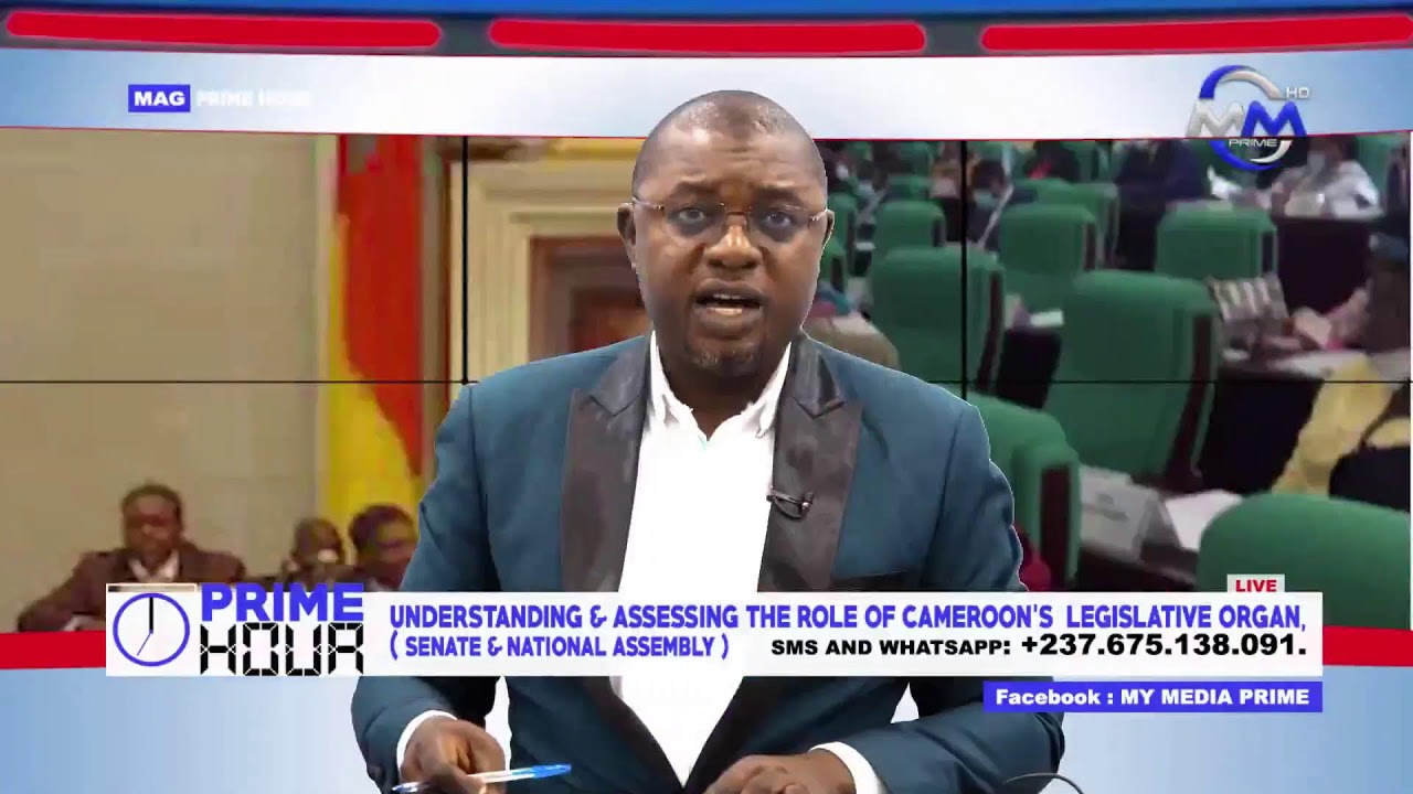 Understanding & assessing the role of Cameroon's Legislative organ, (Senate & National Assembly)