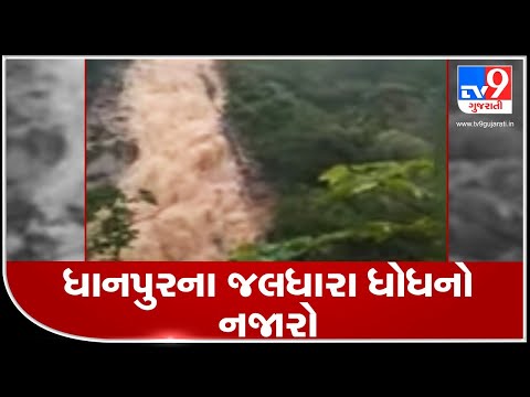 Nature glows at its best in Ratanmahal following heavy rainfall in Dahod | TV9News